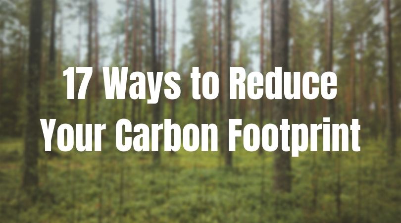 17 Ways To Reduce Carbon Footprint Simple Effective Tips Get